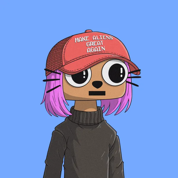 Custom Cets for @0xZeina