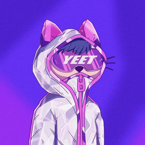 Custom Cets for @HerroCrypto