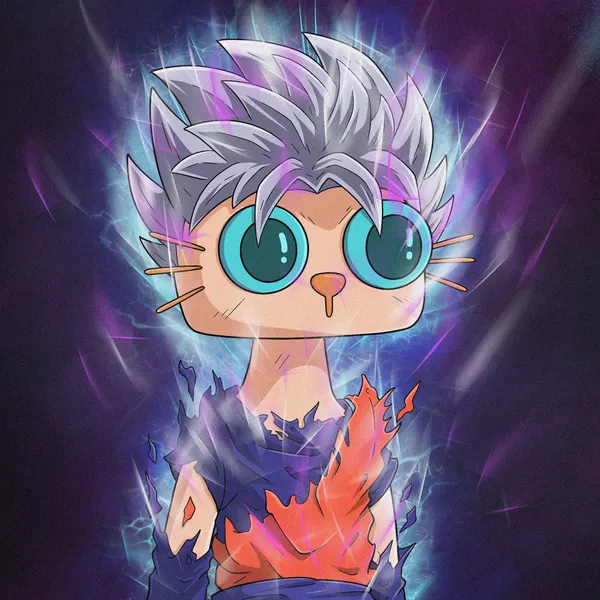 Custom Cets for @kakarottoswoosh